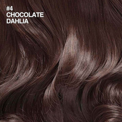 4 Chocolate Dahlia